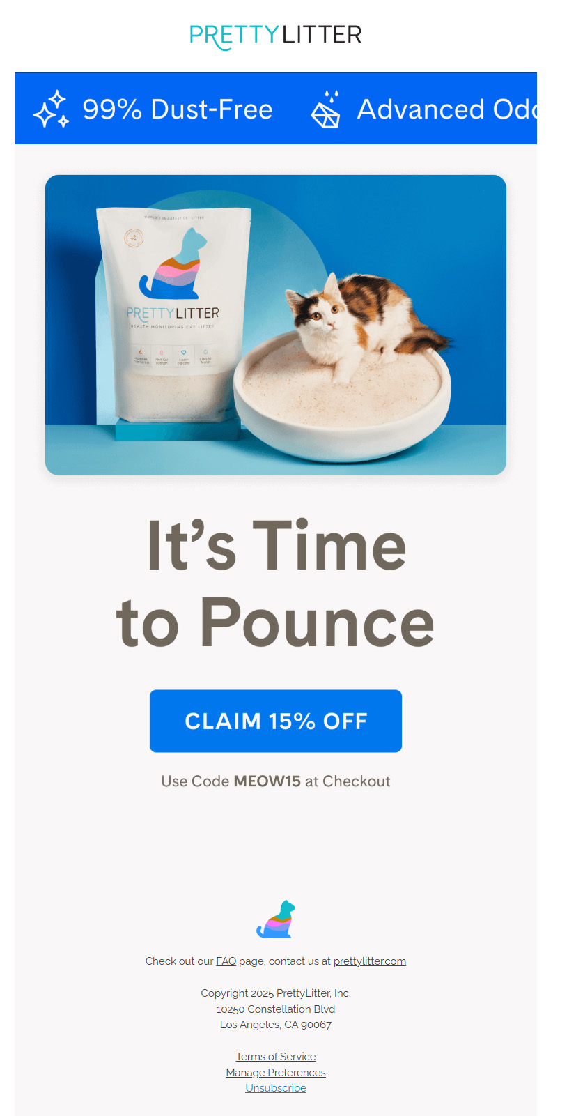 Pet Email Design